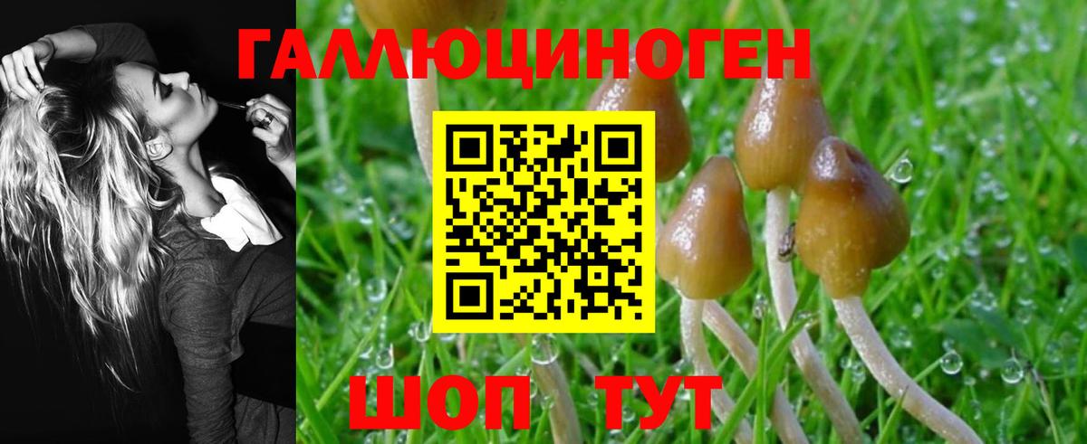 Псилоцибиновые грибы MAGIC MUSHROOMS Обнинск